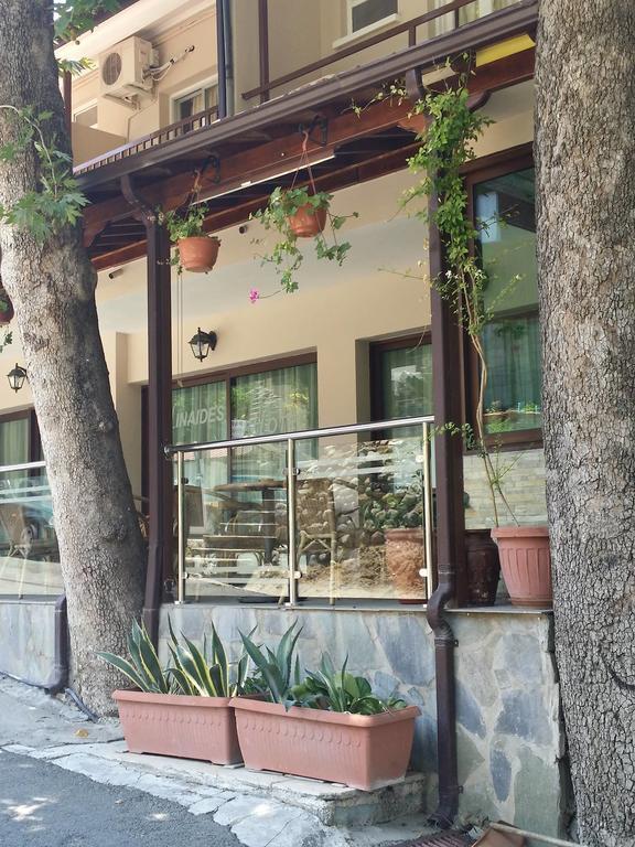 Minaides Hotel Kakopetria Exterior foto
